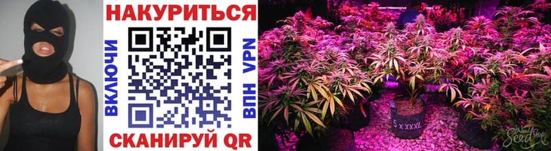 МАРИХУАНА OG Kush  блэк спрут рабочий сайт  Полтавская 